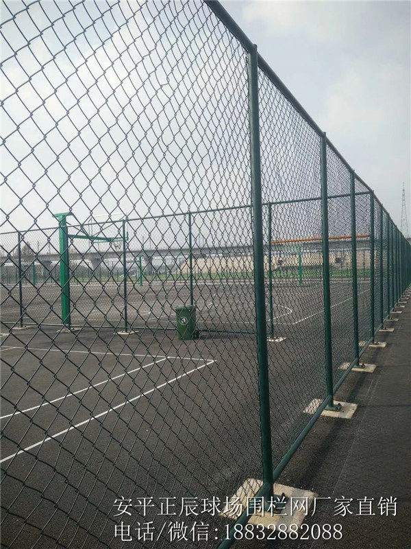 球场围网图片大全大图